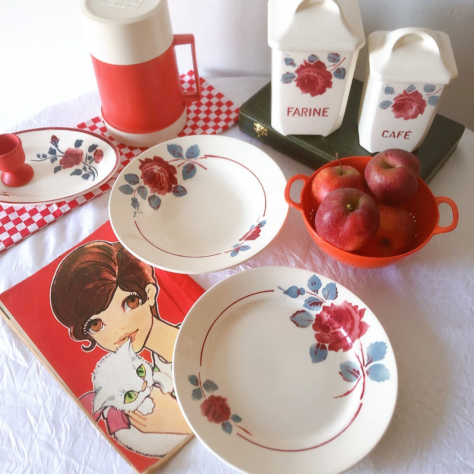 フランスアンティーク　バドンヴィレー　バラ柄スーププレート　深皿　フランスアンティーク食器 ブロカントアンティーク 蚤の市