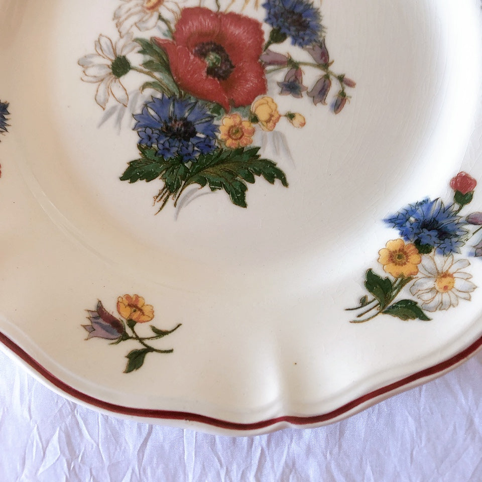 フランス サルグミンヌ sarreguemines アグレスト ディナープレート 23.3㎝  フランスアンティーク食器 フランス蚤の市・ブロカント