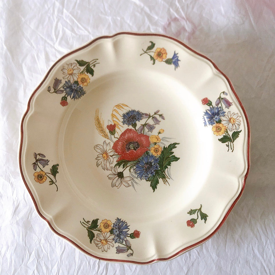 ディゴワンサルグミンヌ Digoin＆sarreguemines アグレスト 深皿 クルーズプレート 23㎝ フランスアンティーク食器 フランス蚤の市・ブロカント