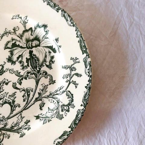 ヴィエイヤーボルドー ディナープレート／平皿 DATURA　ボタニカル模様 フランスアンティーク食器 ブロカントアンティーク　蚤の市