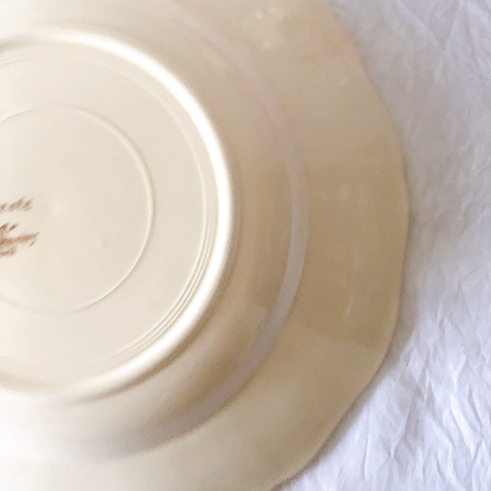 ディゴワンサルグミンヌ Digoin＆sarreguemines アグレスト 深皿 クルーズプレート フランスアンティーク食器 フランス蚤の市・ブロカント