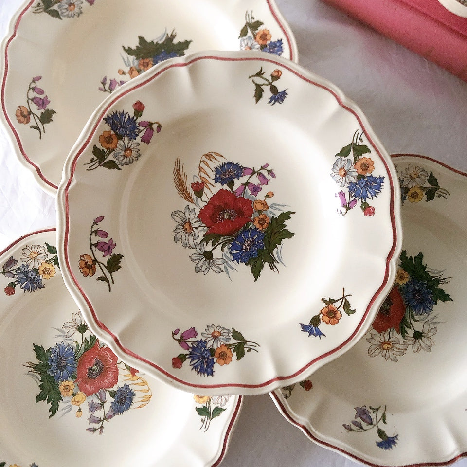 ディゴワンサルグミンヌ Digoin＆sarreguemines アグレスト 深皿 クルーズプレート 23㎝ フランスアンティーク食器 フランス蚤の市・ブロカント