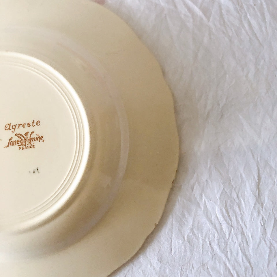 ディゴワンサルグミンヌ Digoin＆sarreguemines アグレスト 深皿 クルーズプレート 23㎝ フランスアンティーク食器 フランス蚤の市・ブロカント