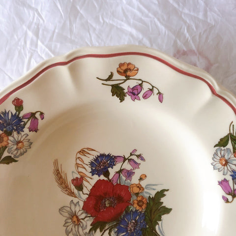 ディゴワンサルグミンヌ Digoin＆sarreguemines アグレスト 深皿 クルーズプレート 23㎝ フランスアンティーク食器 フランス蚤の市・ブロカント