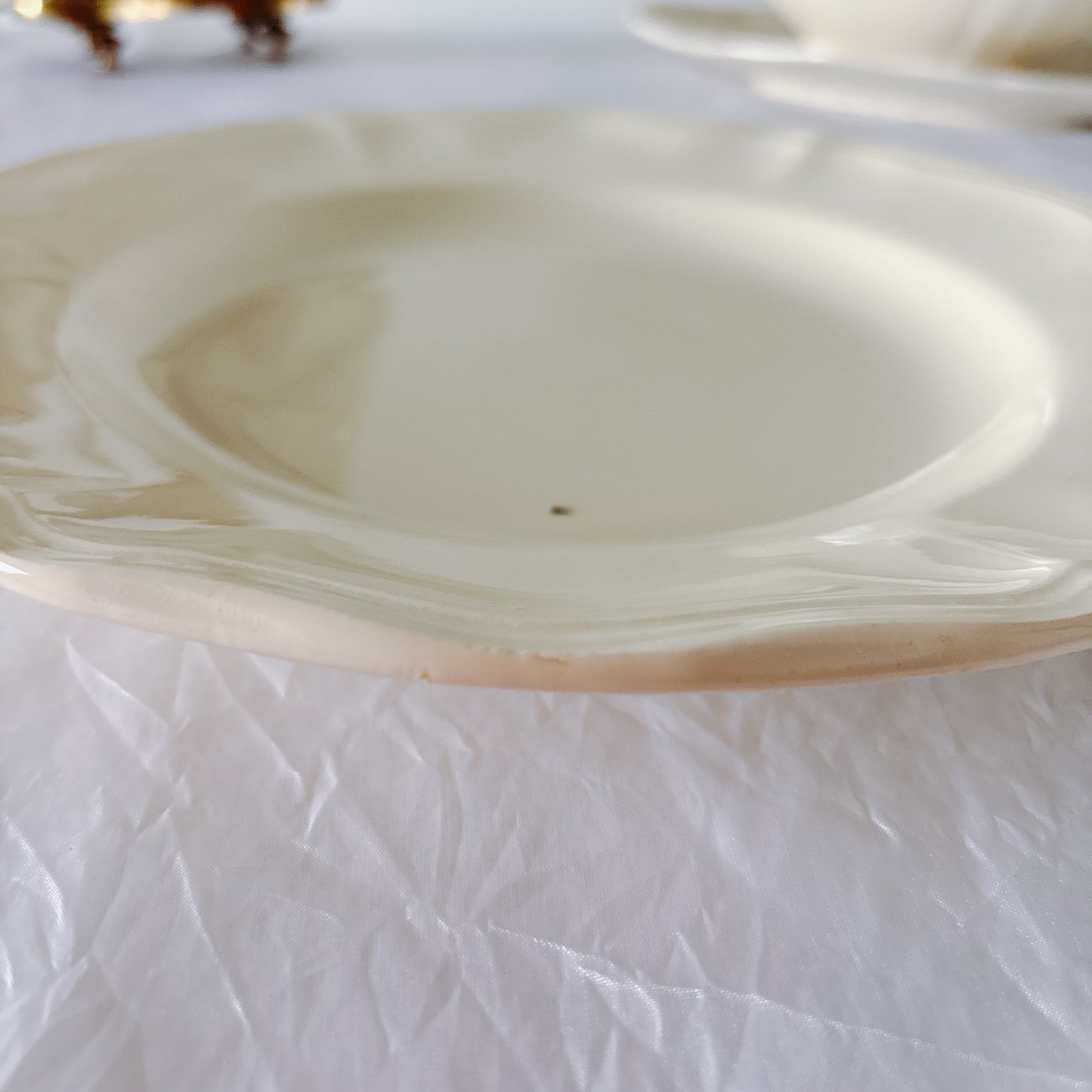 フランス ディゴワン＆サルグミンヌ 花リム ディナープレート 平皿 フランスアンティーク食器 ブロカント　蚤の市