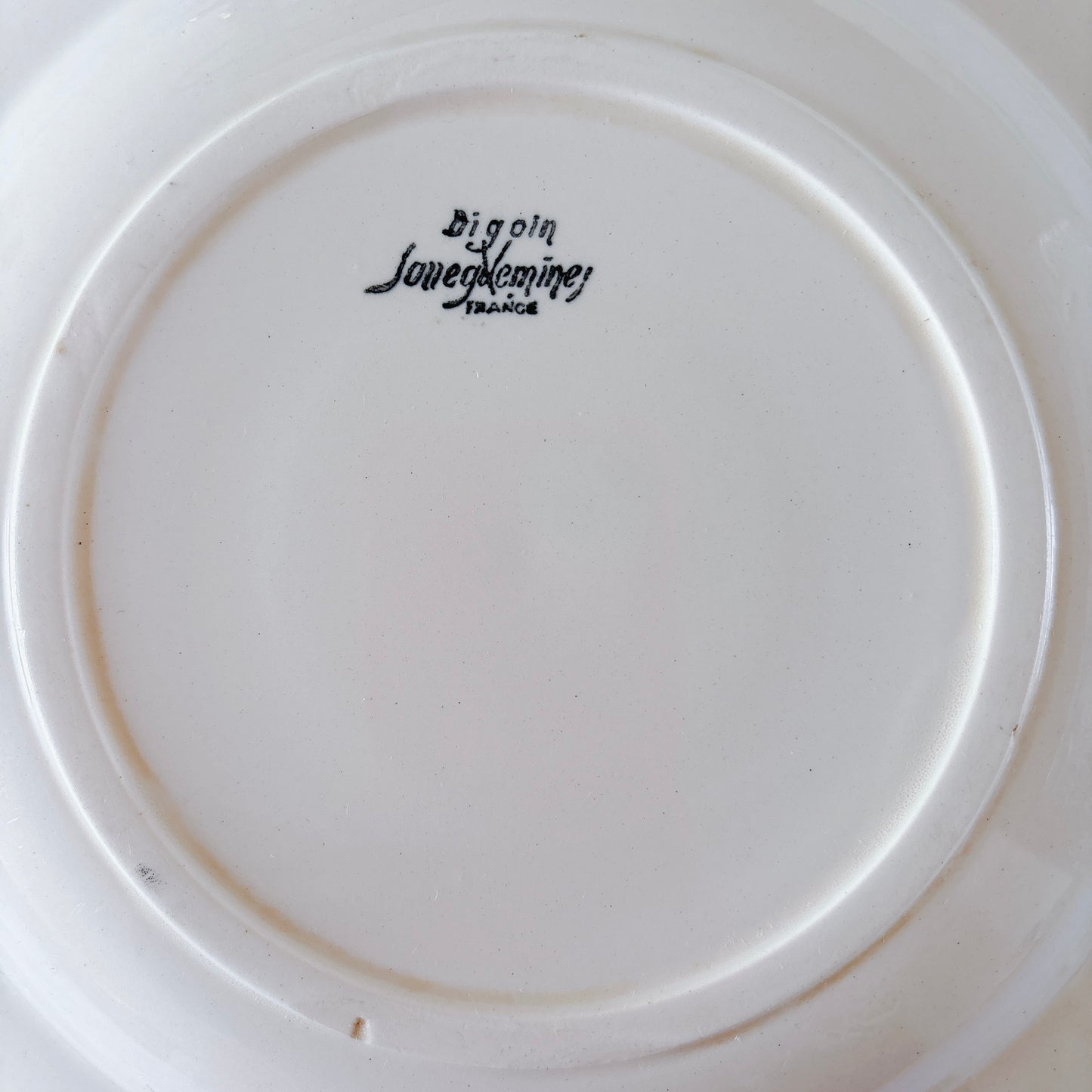 フランス ディゴワン＆サルグミンヌ 花リム スーププレート 深皿 フランスアンティーク食器 ブロカント　蚤の市