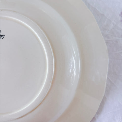 フランス ディゴワン＆サルグミンヌ 花リム スーププレート 深皿 フランスアンティーク食器 ブロカント　蚤の市