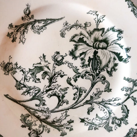 ヴィエイヤーボルドー ディナープレート／平皿 DATURA　ボタニカル模様 フランスアンティーク食器 ブロカントアンティーク　蚤の市