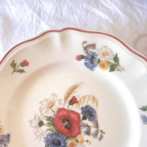 フランス サルグミンヌ sarreguemines アグレスト ディナープレート 23.3㎝  フランスアンティーク食器 フランス蚤の市・ブロカント