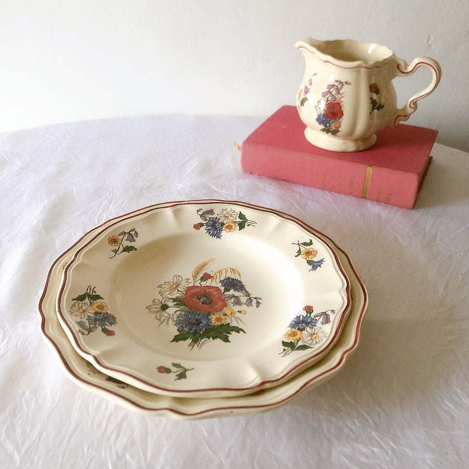 ディゴワンサルグミンヌ Digoin＆sarreguemines アグレスト 深皿 クルーズプレート 23㎝ フランスアンティーク食器 フランス蚤の市・ブロカント