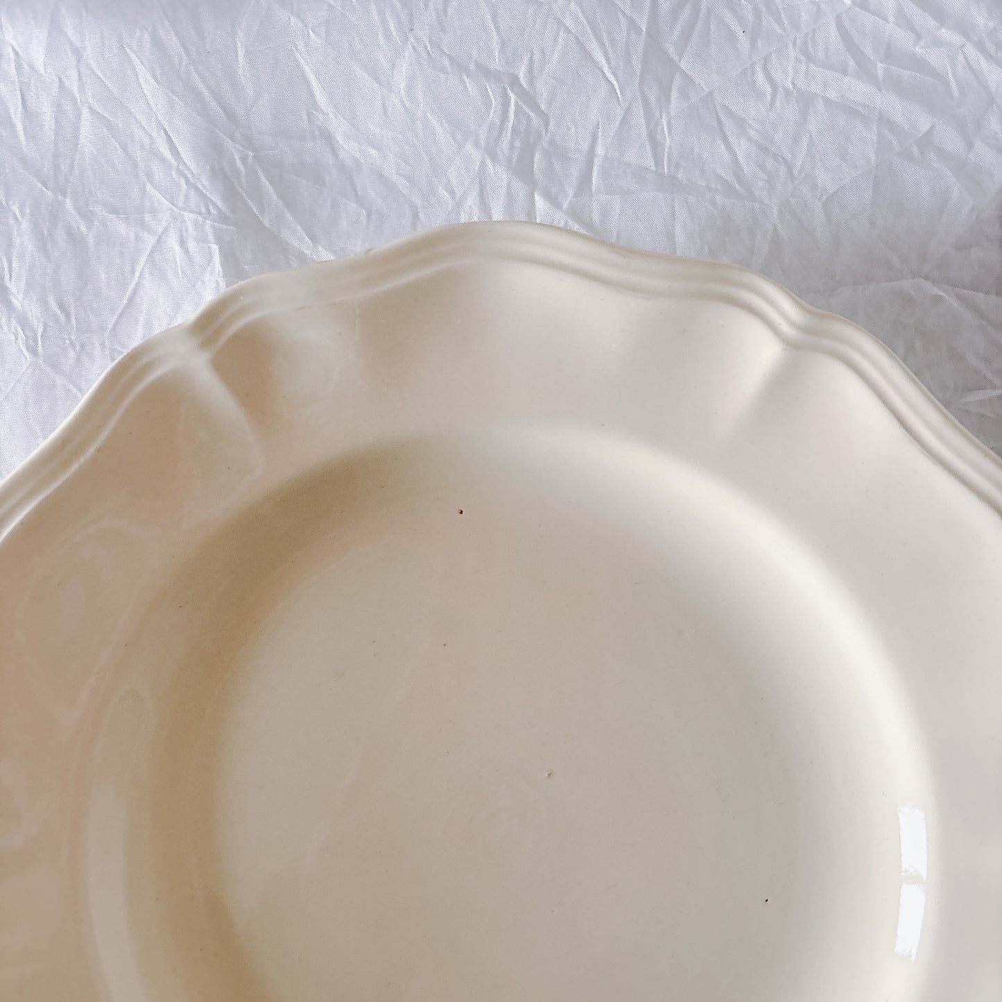 フランス ディゴワン＆サルグミンヌ 花リム ディナープレート 平皿 フランスアンティーク食器 ブロカント　蚤の市