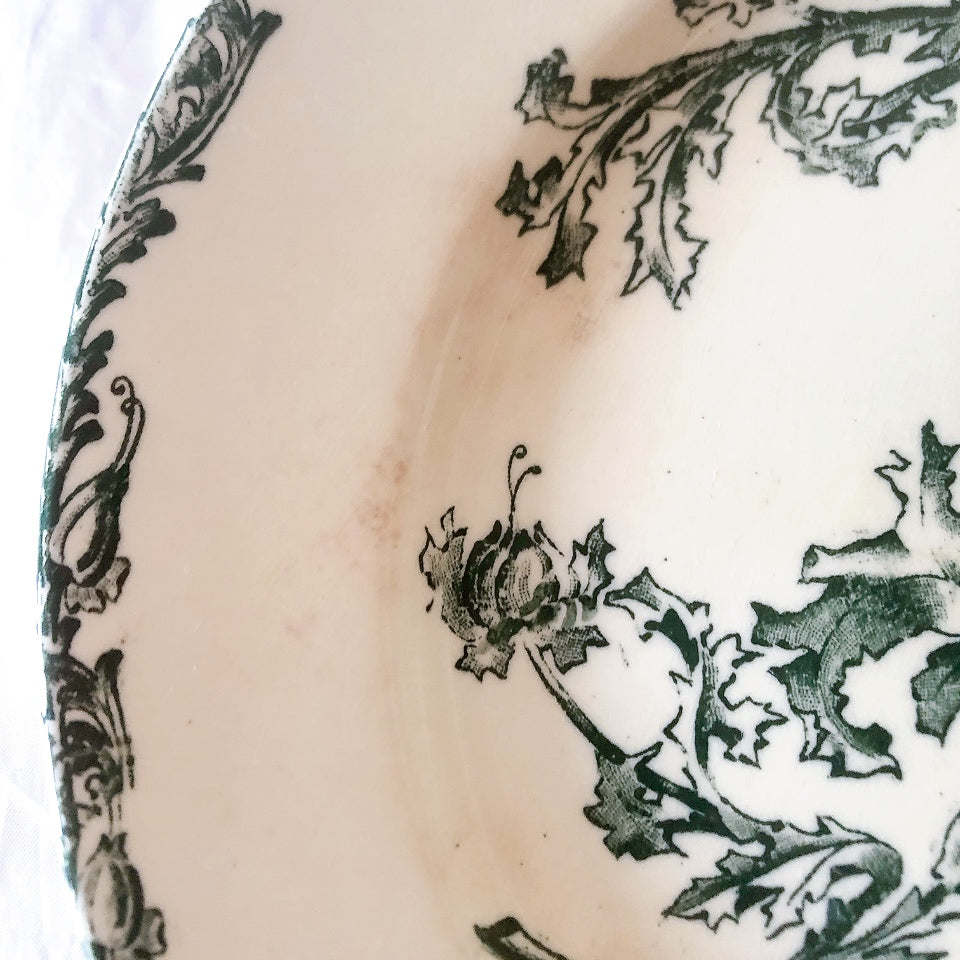 ヴィエイヤーボルドー ディナープレート／平皿 DATURA　ボタニカル模様 フランスアンティーク食器 ブロカントアンティーク　蚤の市