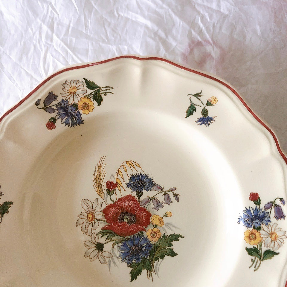 ディゴワンサルグミンヌ Digoin＆sarreguemines アグレスト 深皿 クルーズプレート フランスアンティーク食器 フランス蚤の市・ブロカント