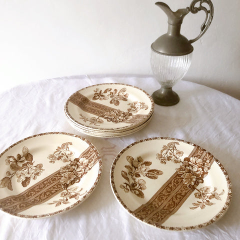 フランスアンティーク  E.Bourgeois エミールブルジョワ　ディナープレート 平皿 フランスアンティーク食器 ブロカント 蚤の市