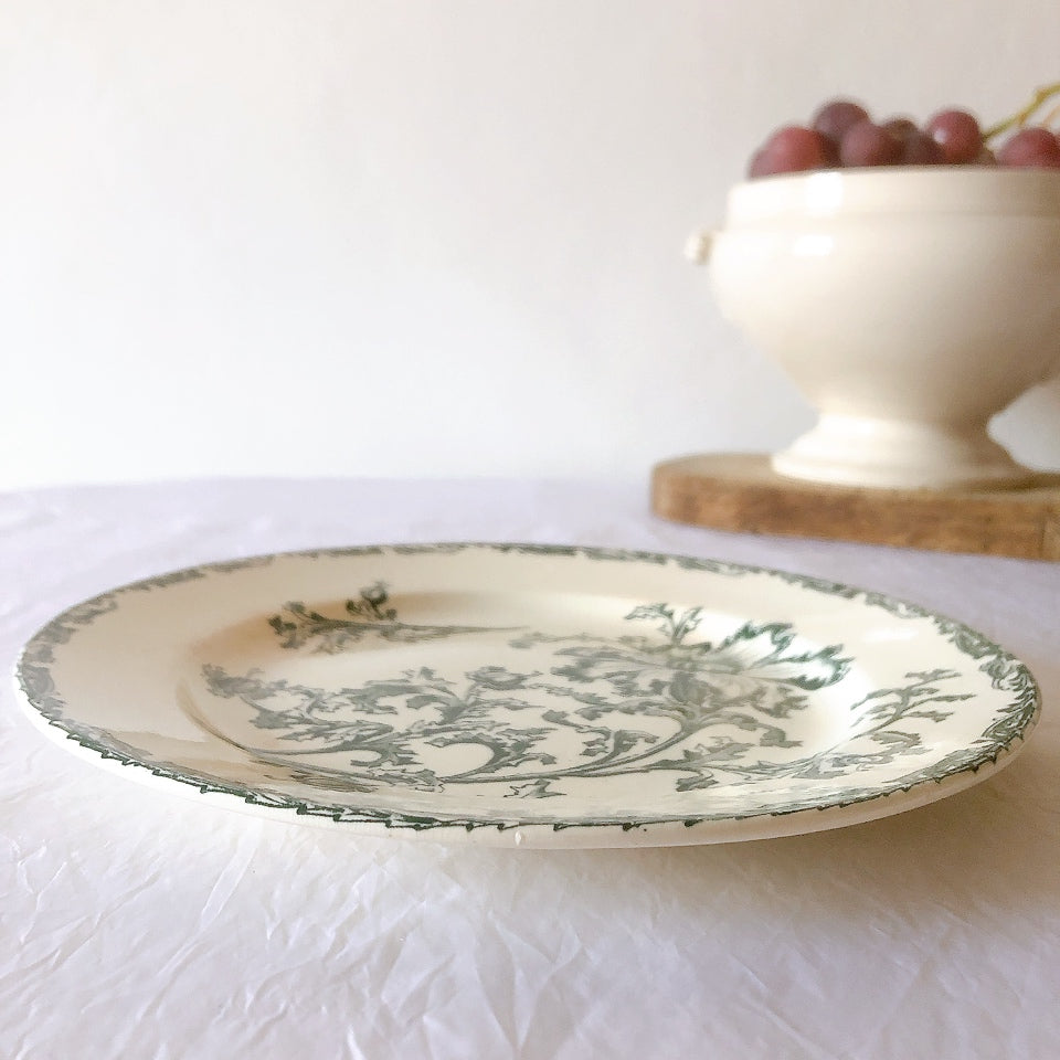 ヴィエイヤーボルドー ディナープレート／平皿 DATURA　ボタニカル模様 フランスアンティーク食器 ブロカントアンティーク　蚤の市