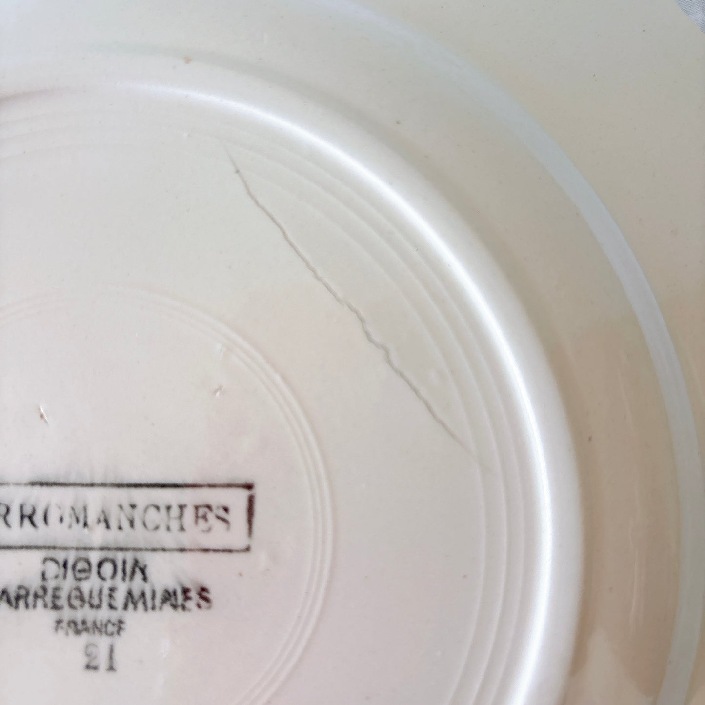 ディゴワンサルグミンヌ 『ARROMANCHES （アロマンシュ）』花リム ディナープレート　フランスアンティーク食器