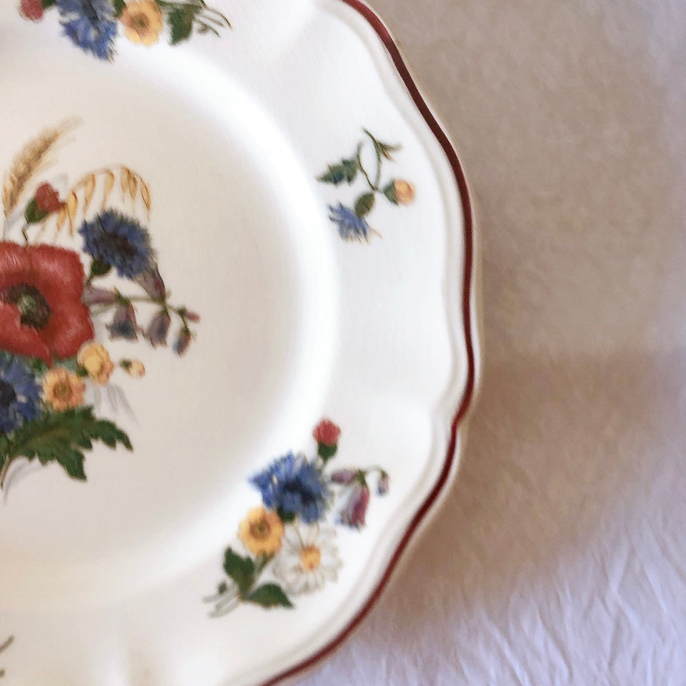 フランス サルグミンヌ sarreguemines アグレスト ディナープレート 23.3㎝  フランスアンティーク食器 フランス蚤の市・ブロカント