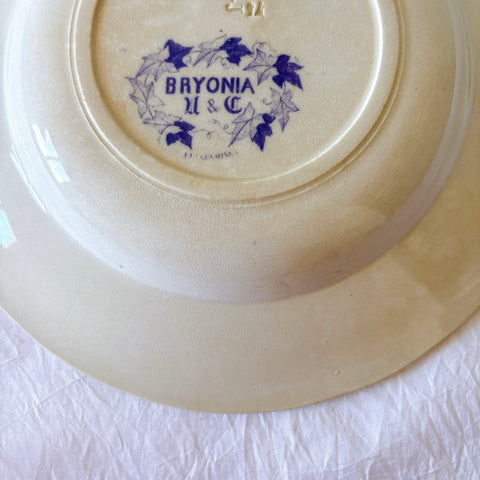 フランスアンティーク U&Cサルグミンヌ Bryonia ブリオニア スーププレート　ブロカント　蚤の市