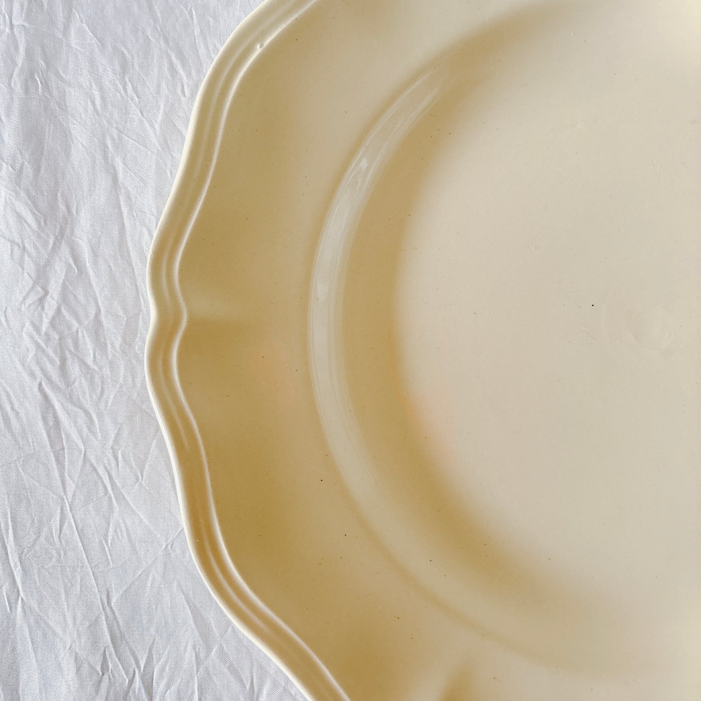 フランス ディゴワン＆サルグミンヌ 花リム ディナープレート 平皿 フランスアンティーク食器 ブロカント　蚤の市