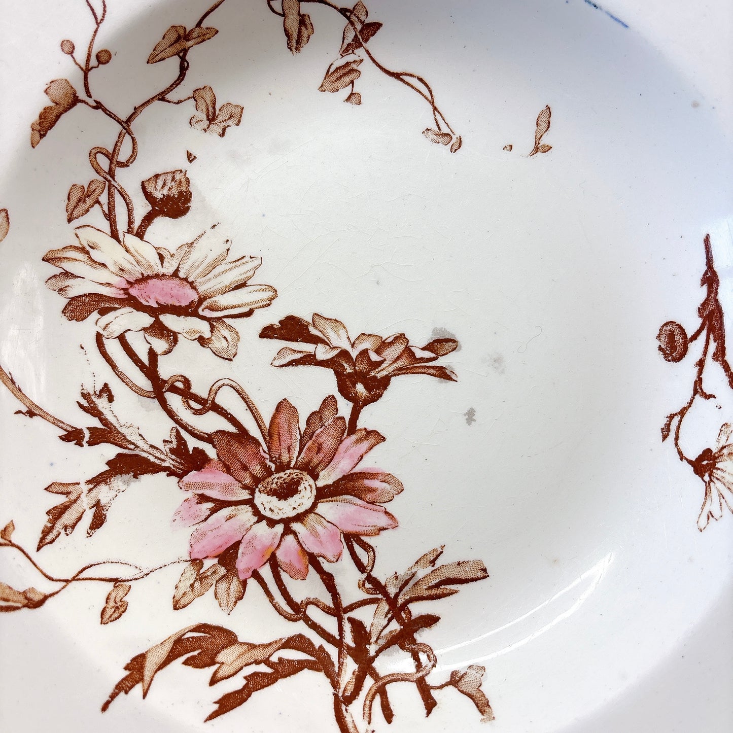 リュネヴィル  マーガレット MARGUERITE スーププレート フランスアンティーク食器　蚤の市　ブロカント