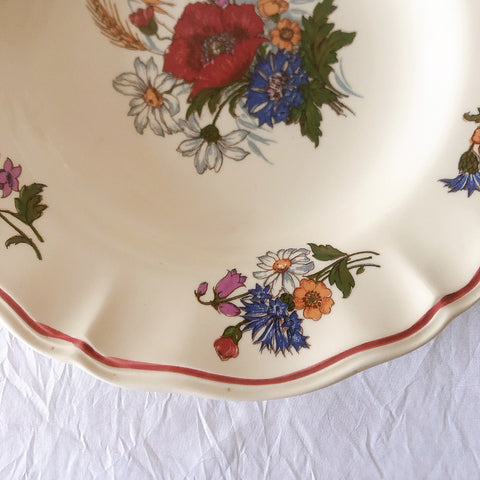 ディゴワンサルグミンヌ Digoin＆sarreguemines アグレスト 深皿 クルーズプレート 23㎝ フランスアンティーク食器 フランス蚤の市・ブロカント