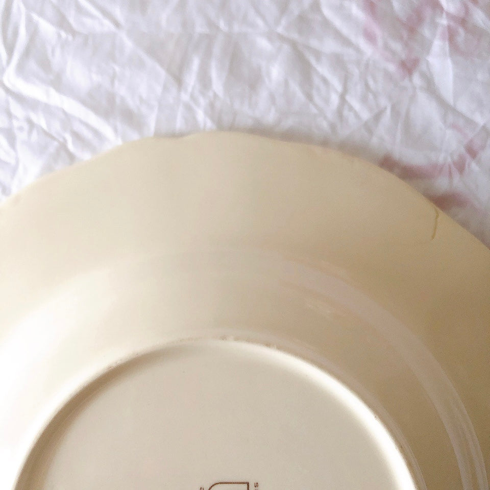 ディゴワンサルグミンヌ Digoin＆sarreguemines アグレスト 深皿 クルーズプレート 23㎝ フランスアンティーク食器 フランス蚤の市・ブロカント