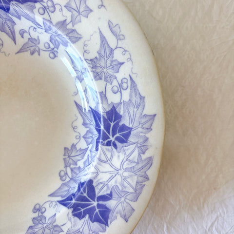 フランスアンティーク U&Cサルグミンヌ Bryonia ブリオニア スーププレート　ブロカント　蚤の市