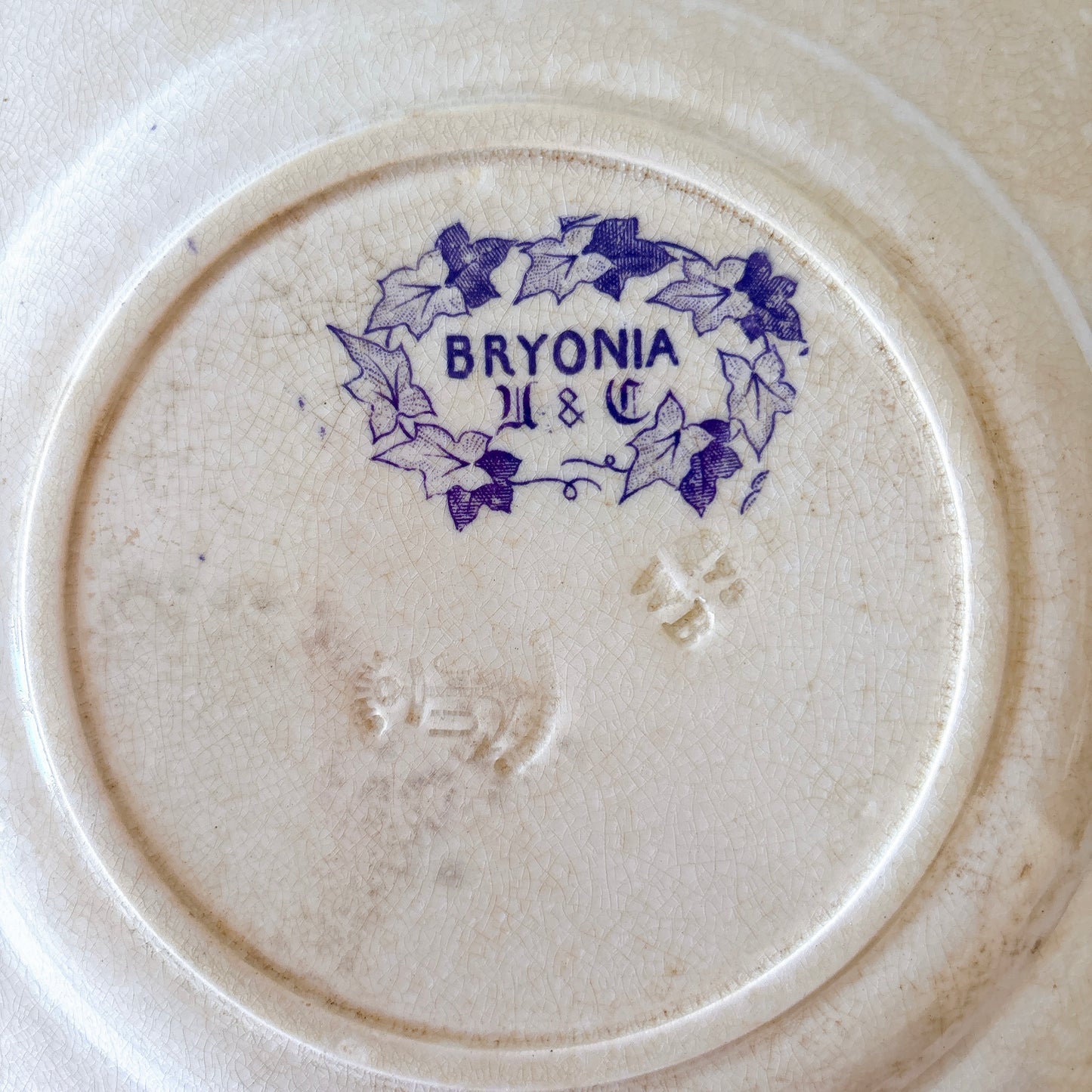 フランスアンティーク U&Cサルグミンヌ Bryonia ブリオニア デザートプレート　ブロカント　蚤の市