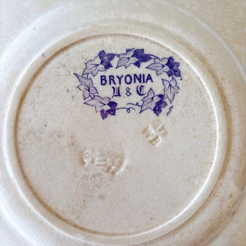 フランスアンティーク U&Cサルグミンヌ Bryonia ブリオニア デザートプレート　ブロカント　蚤の市