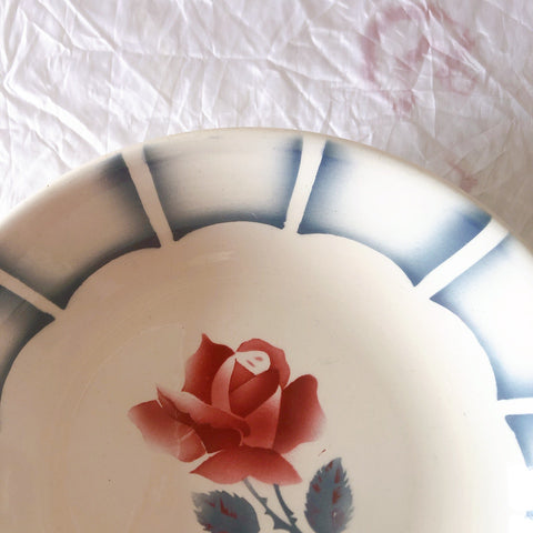 ディゴワンサルグミンヌ 『DAUPHIN 』 花柄キャロットプレート・深皿 フランスアンティーク食器　ブロカントアンティーク　蚤の市