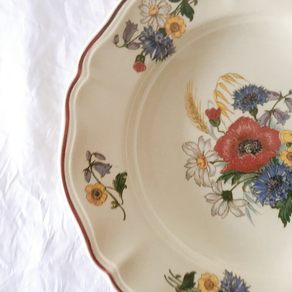 ディゴワンサルグミンヌ Digoin＆sarreguemines アグレスト 深皿 クルーズプレート 23㎝ フランスアンティーク食器 フランス蚤の市・ブロカント