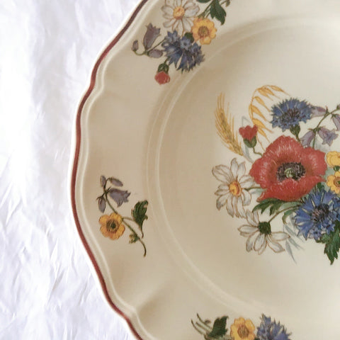 ディゴワンサルグミンヌ Digoin＆sarreguemines アグレスト 深皿 クルーズプレート 23㎝ フランスアンティーク食器 フランス蚤の市・ブロカント