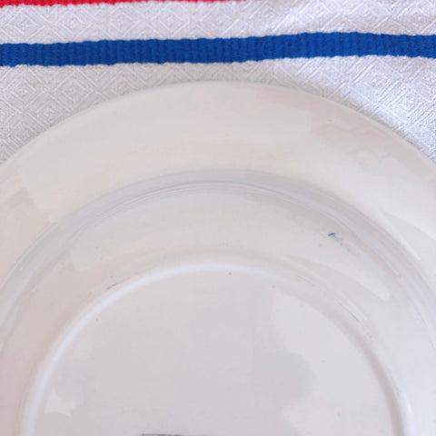 ディゴワンサルグミンヌ 『BASQUE』バスク柄 スーププレート  深皿 C ルージュ・マリンブルー フランスアンティーク食器 フランス蚤の市・ブロカント
