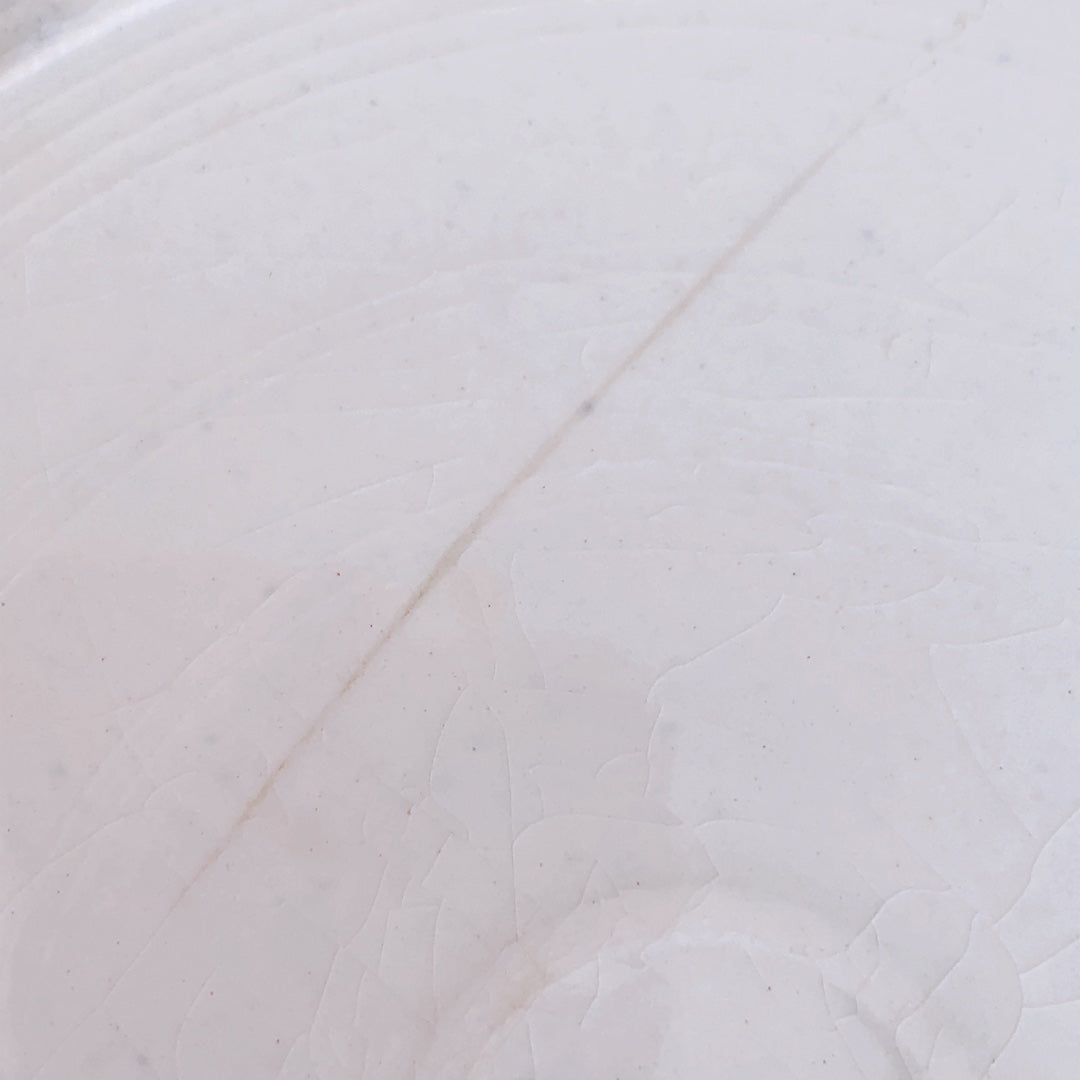 ディゴワンサルグミンヌ 『BASQUE』バスク柄 デイナープレート C フランスアンティーク食器 フランス蚤の市　ブロカント 　バスクアンティーク