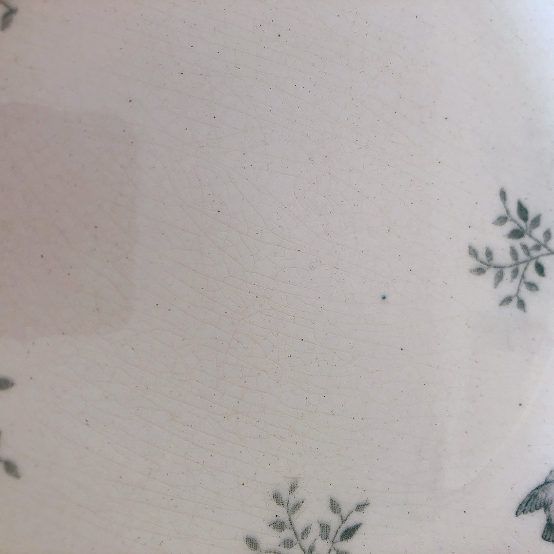 ショワジー・ル・ロワ アンティークプレート 小鳥とワイルドローズ 平皿 19.5cm A フランスアンティーク食器・プレート フランス直送アンティーク