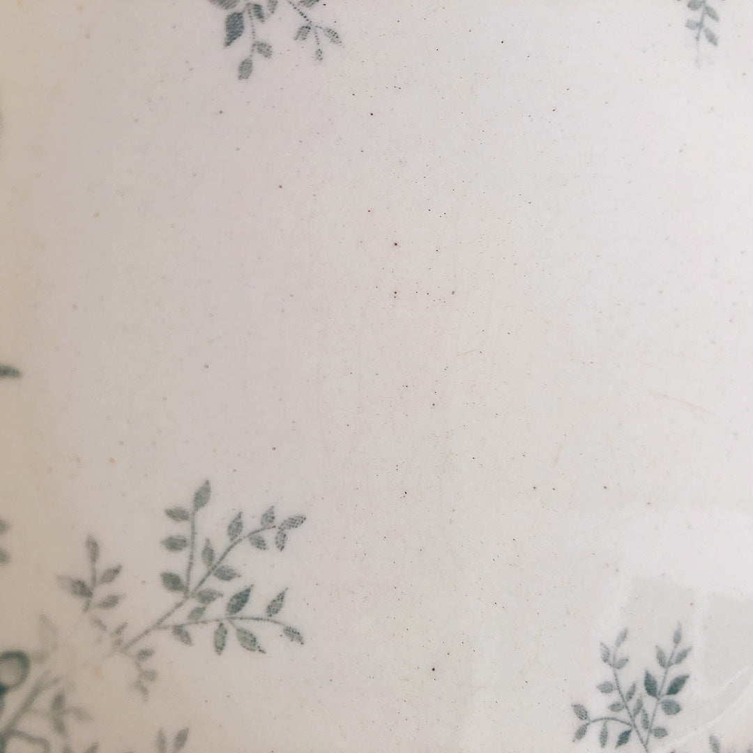 (ご予約済)ショワジー・ル・ロワ アンティークプレート 小鳥とワイルドローズ 平皿 19.5cm B フランスアンティーク食器・プレート フランス直送アンティーク