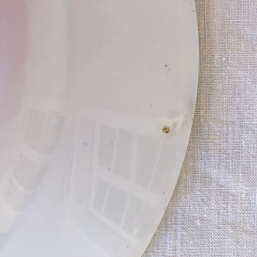 フランスアンティーク　鳥＆蝶のモチーフプレート・深皿 A　フランスアンティーク食器 フランス蚤の市・ブロカント
