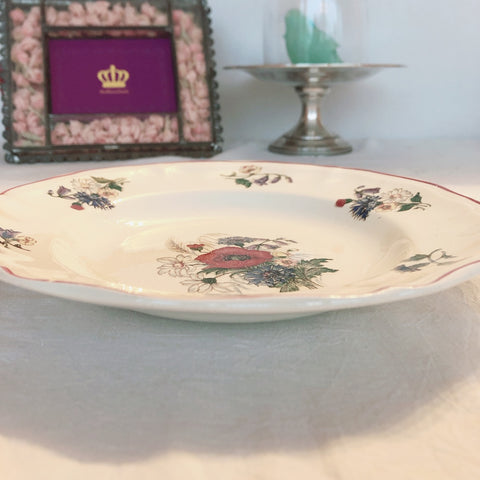 ディゴワンサルグミンヌ Digoin＆sarreguemines アグレスト 深皿 クルーズプレート F フランスアンティーク食器 フランス蚤の市・ブロカント
