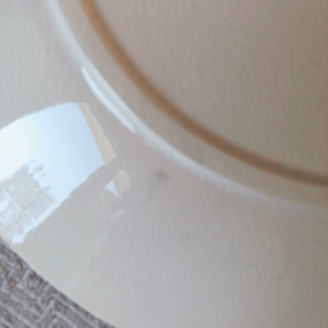 フランスアンティーク U＆C sarreguemines サルグミンヌ 平皿 ”NEIGE”小鳥 A フランスアンティーク食器　ブロカント　蚤の市