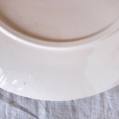 フランスアンティーク UCサルグミンヌ ディナープレート 平皿 ”ROYAT” ロワイヤ C フランスアンティーク食器 ブロカント 蚤の市