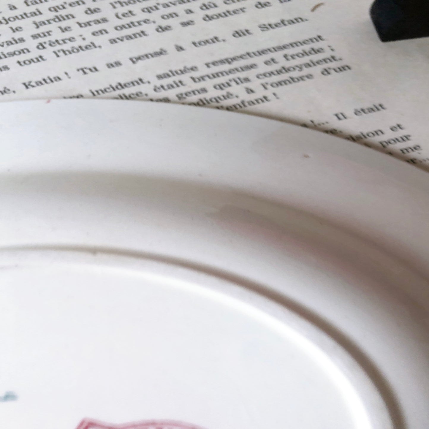 フランスアンティーク サルグミンヌ ファボリ『FAVORI』スーププレート Eファイアンスフィーヌ フランスアンティーク食器 フランス蚤の市・ブロカント