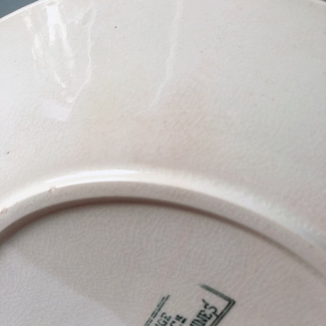 フランスアンティーク U＆C sarreguemines サルグミンヌ 平皿 ”NEIGE”小鳥 D ランスアンティーク食器　ブロカント　蚤の市