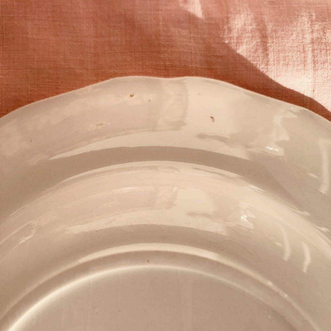 リュネヴィル " Réverbère"シリーズ クルーズプレート 深皿 B フランスアンティーク食器　蚤の市　ブロカント
