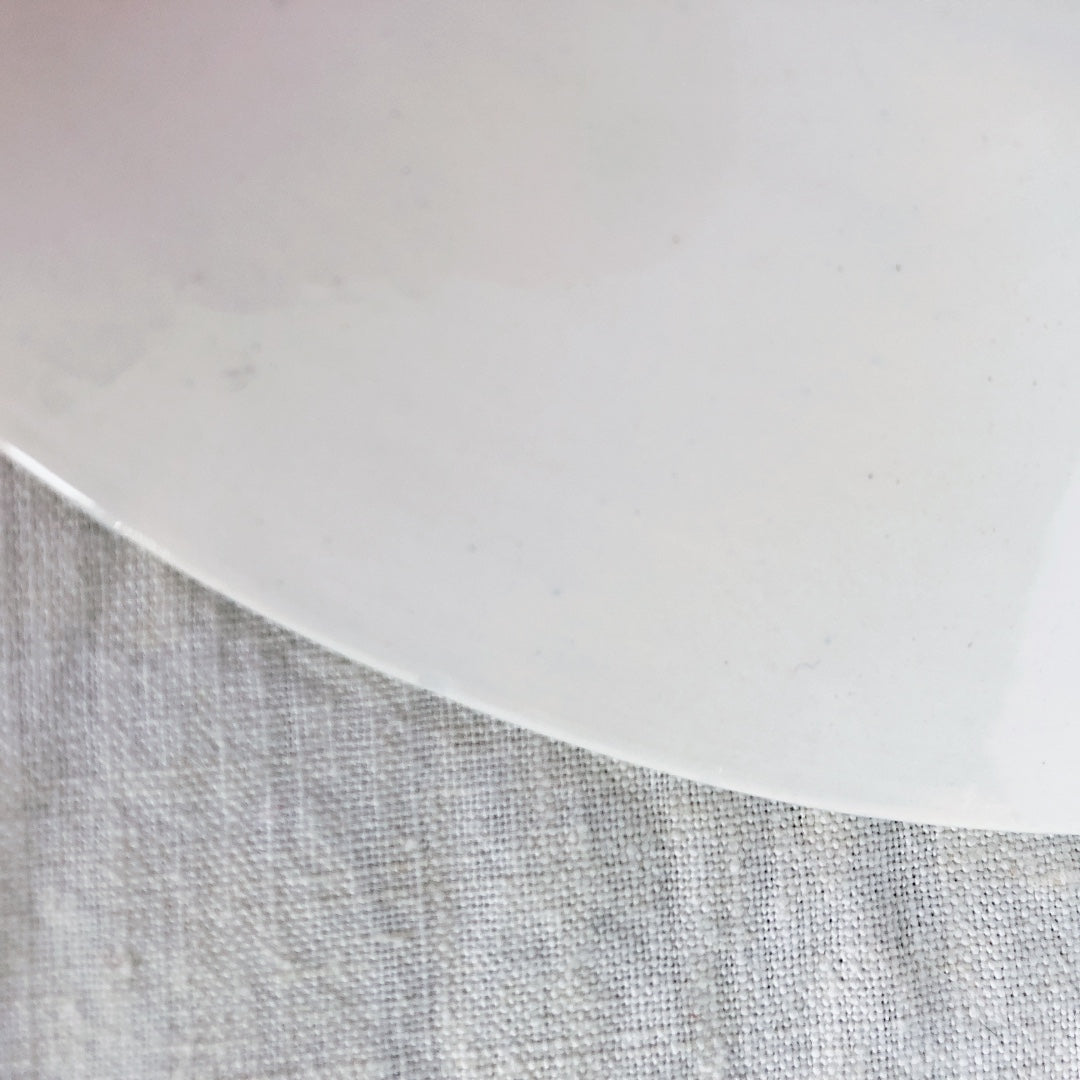 サルグミンヌ U＆C  ”モーツァルト” ディナープレート 平皿 F フランスアンティーク食器 ブロカント 蚤の市