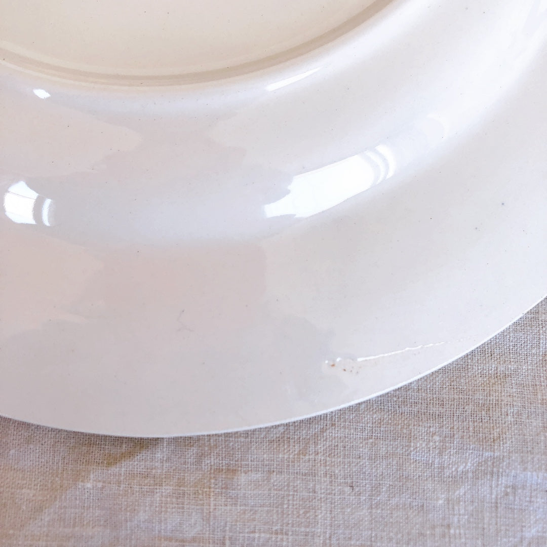 ディゴワンサルグミンヌ バスク柄 ディナープレート 『ルージュ・マリン』A フランスアンティーク食器 フランス蚤の市・ブロカント　バスク柄食器 バスク柄のお皿