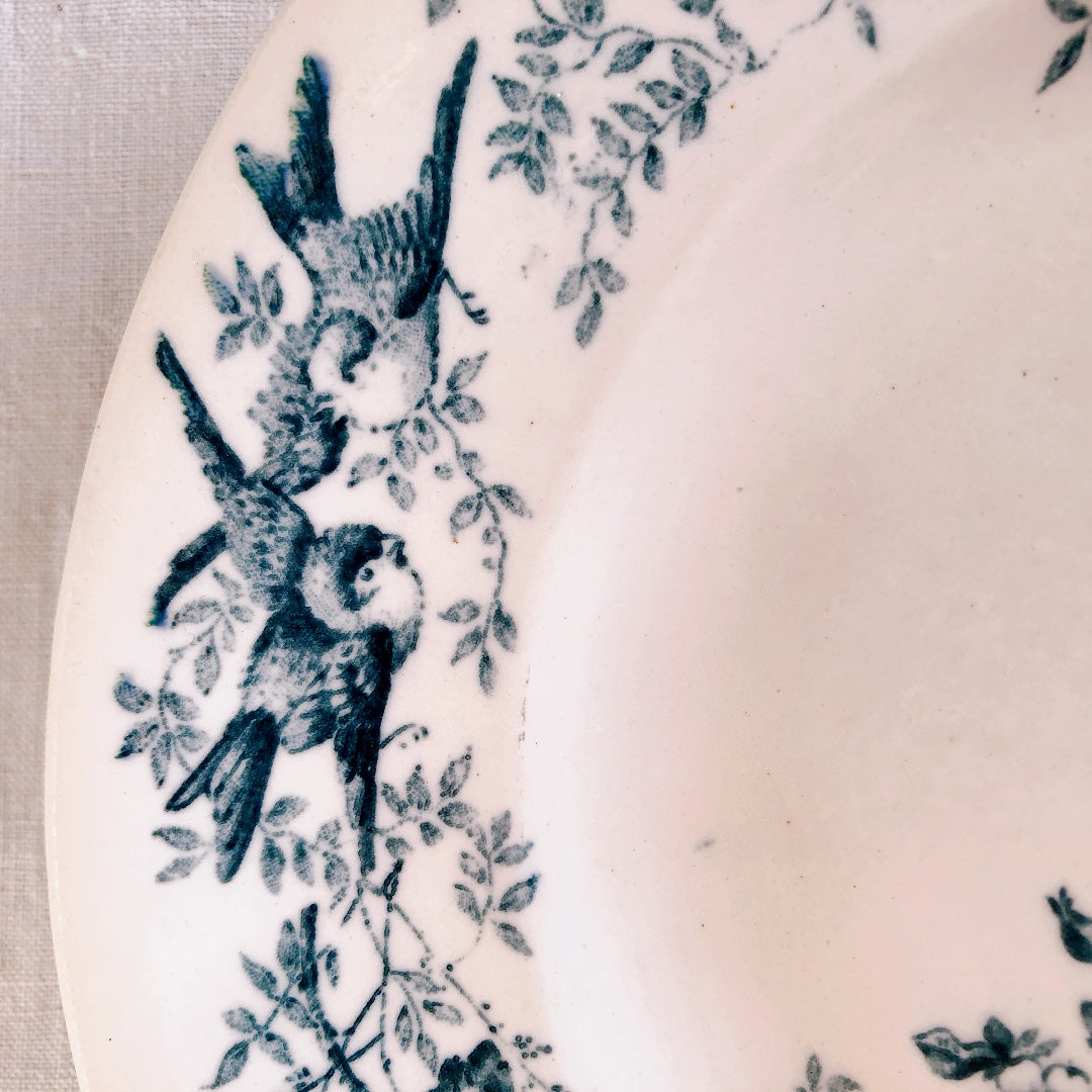 ロンウィー Longwy 平皿 CRONSTADTシリーズ 小鳥と花柄 フランスアンティーク食器 ブロカント 蚤の市