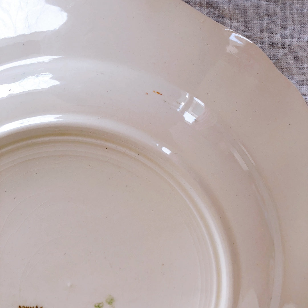 サルグミンヌ sarreguemines アグレスト 平皿 プレート C フランスアンティーク食器 フランス蚤の市・ブロカント