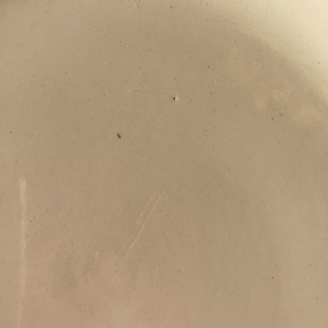 フランス ディゴワン＆サルグミンヌ 花リム ディナープレート 平皿 25㎝ b フランスアンティーク食器 ブロカント・蚤の市